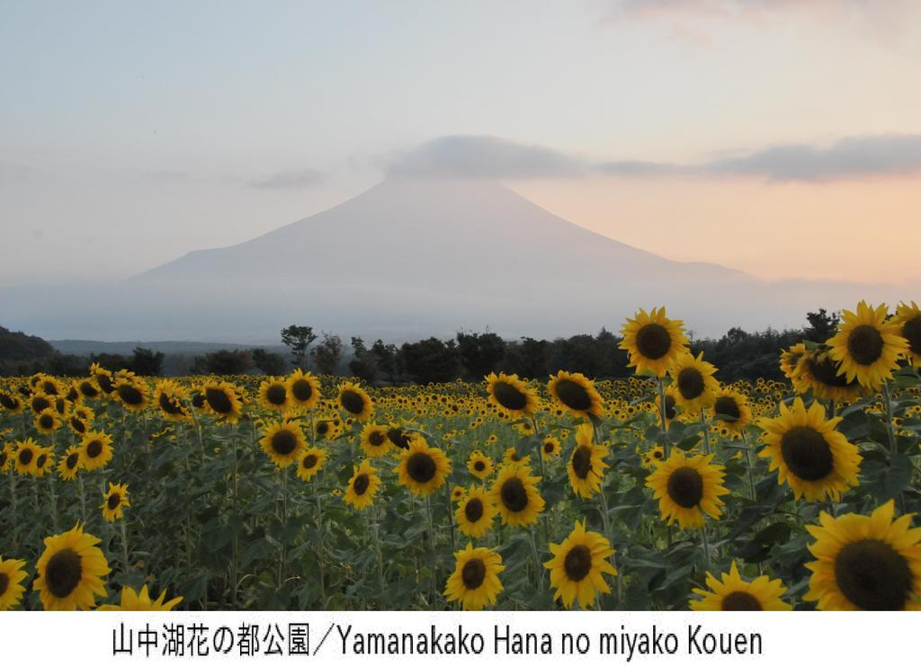 Pension Country Diary Yamanakako Eksteriør billede